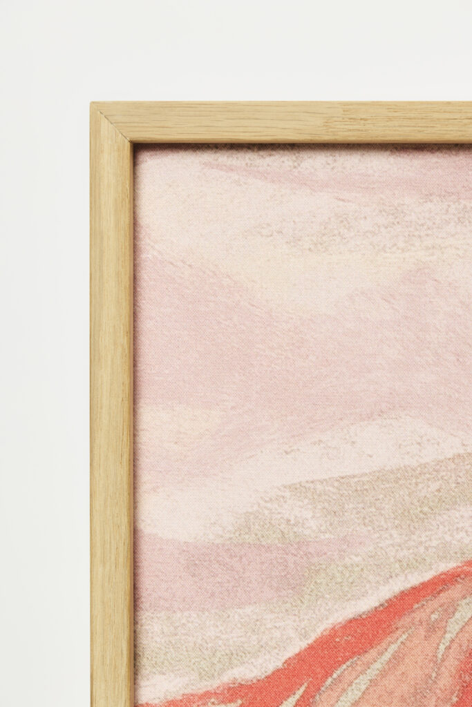 Akuart-Image-Bank-Packshots-Imagine-Image-5